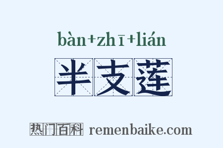 半支莲是什么意思的图片